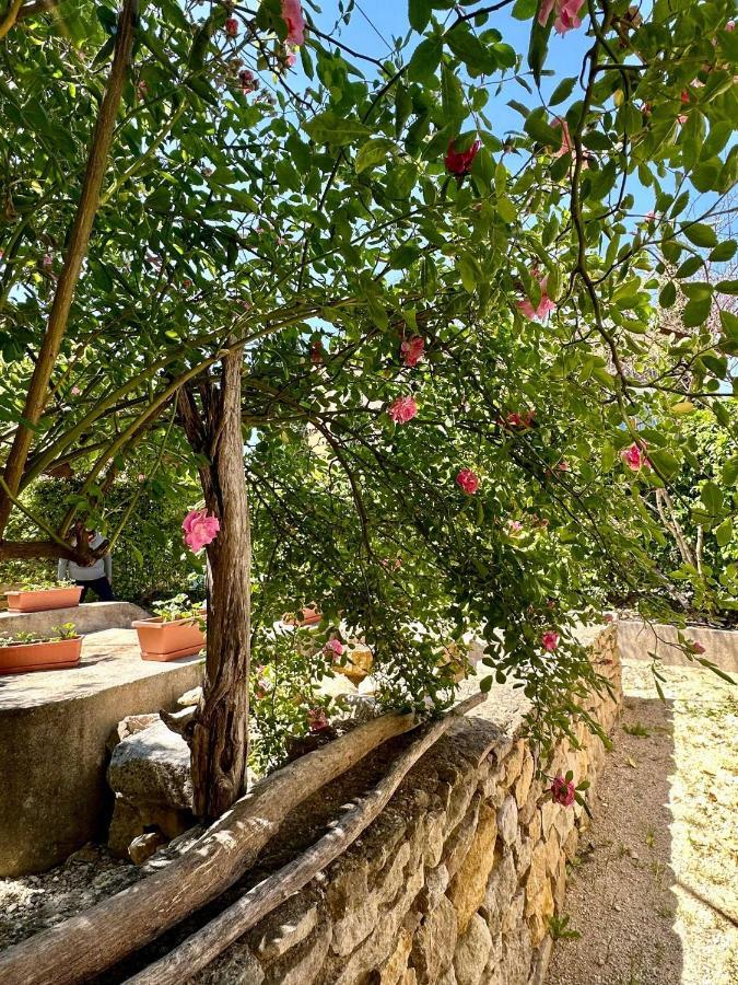 Clos De La Noria Pont-Saint-Esprit Dış mekan fotoğraf