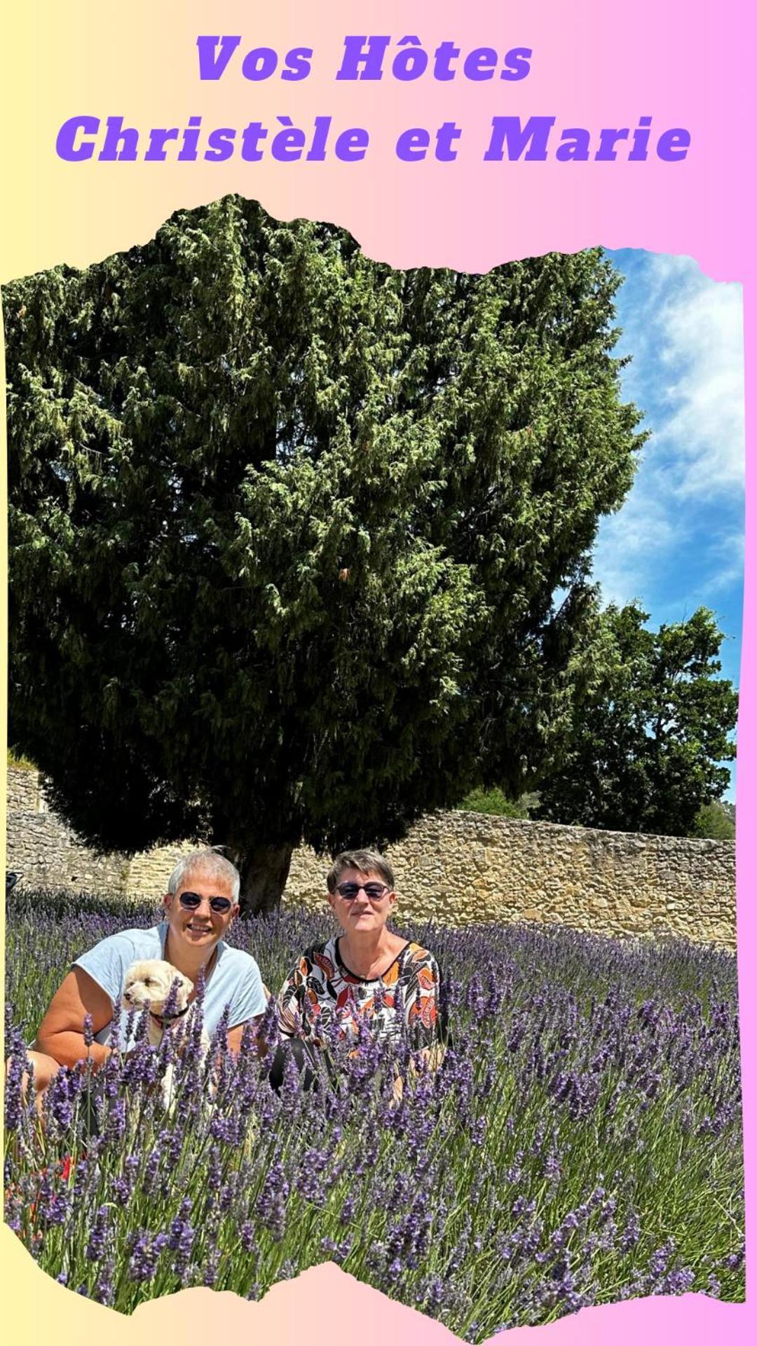 Clos De La Noria Pont-Saint-Esprit Dış mekan fotoğraf